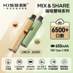 一次性拋棄式電子煙｜KIS5-磁吸雙味-